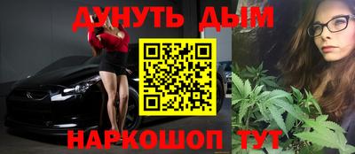 Альфа ПВП Камень-на-Оби